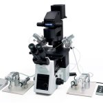 INJECTION & MICROMANIPULATION