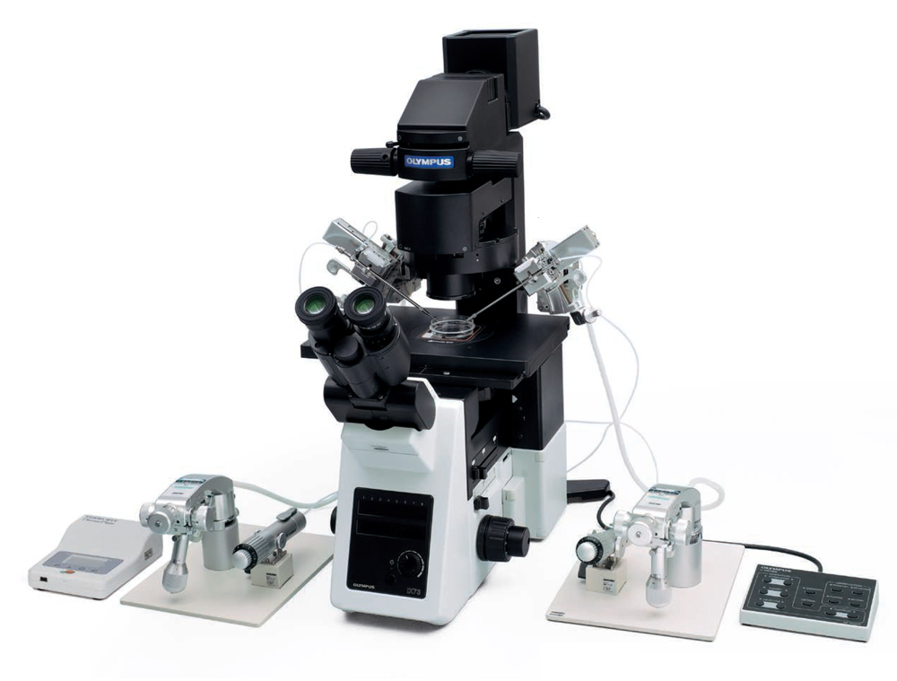ICSI-Image INJECTION & MICROMANIPULATION - Image 1