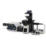 SPINNING DISK CONFOCAL MICROSCOPY (SDCM)