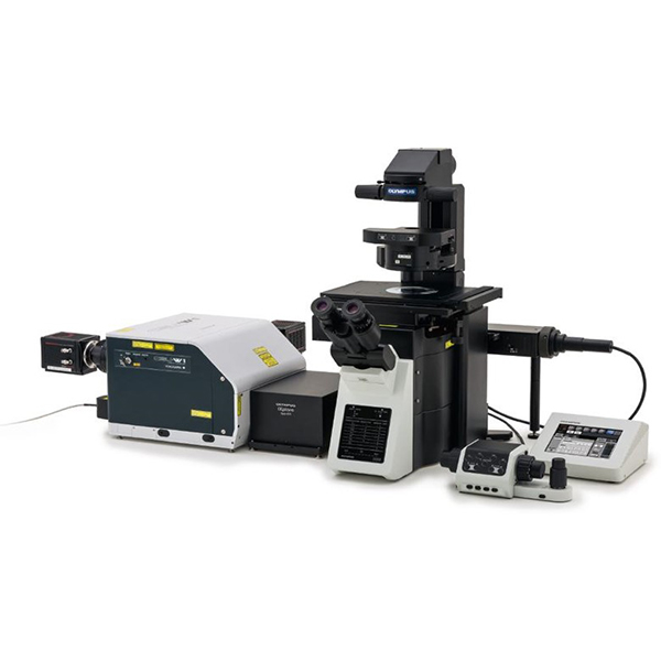 JJ SPINNING DISK CONFOCAL MICROSCOPY (SDCM) - Image 1